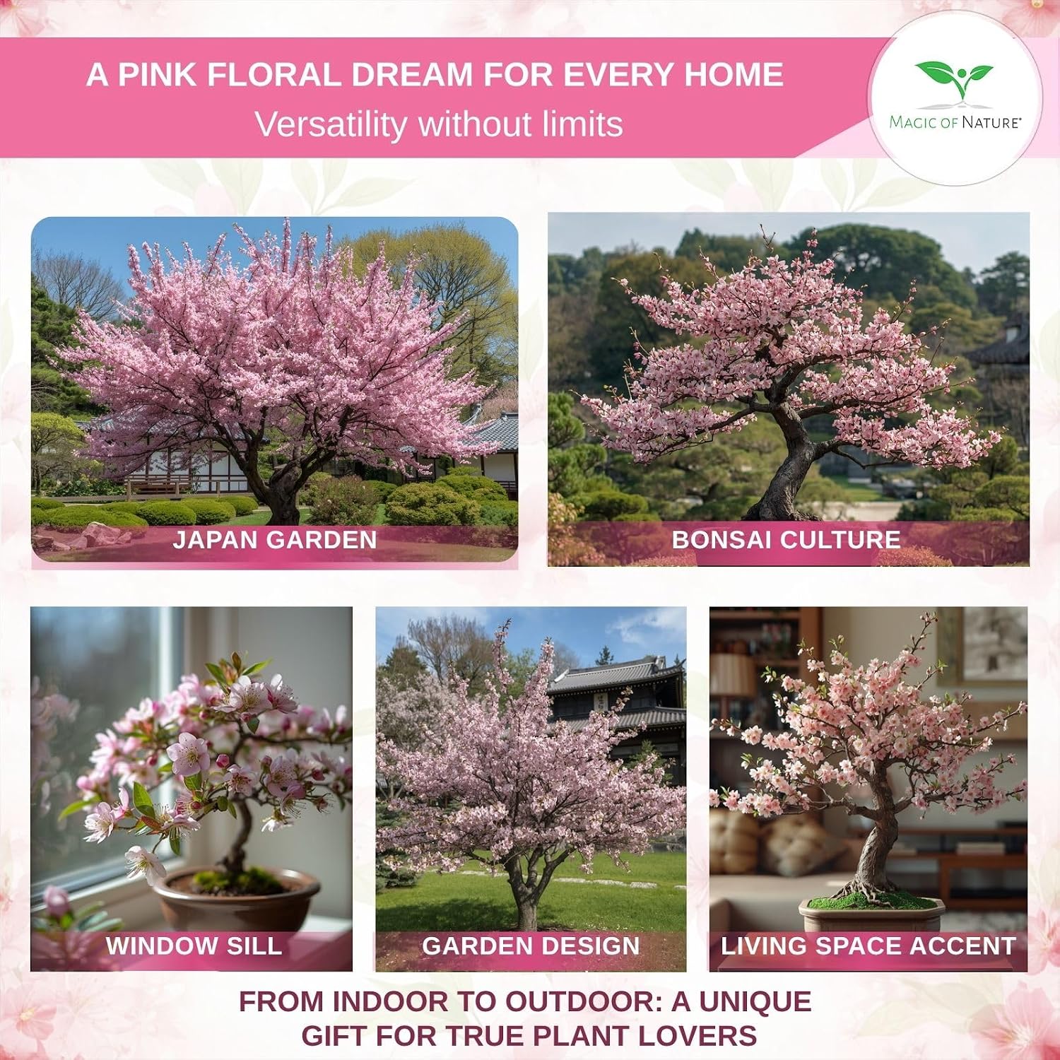 Thumbnail 4 de Magic of Nature Prunus serrulata – japanskt körsbär, 10 frön för trädgård och bonsai