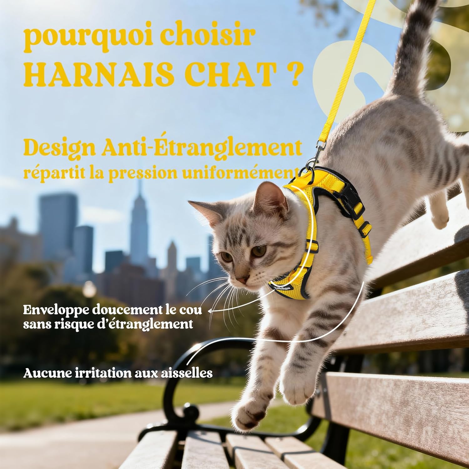 Thumbnail 2 de rabbitgoo Harnais Chat M 48–61 cm 🐾