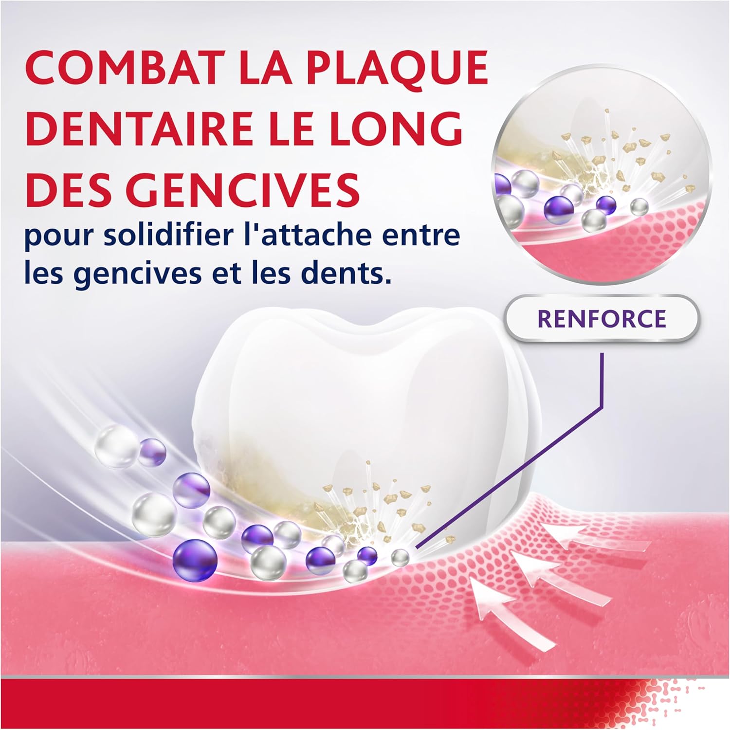 Thumbnail 2 de PARODONTAX Bain de Bouche 2 x 500 ml 🦷