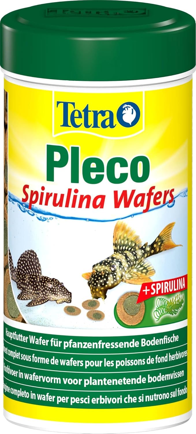 Detalle 2 de Tetra Pleco Algae Wafers: mangime solido a base di spirulina per pesci di fondo, barattolo 250 ml