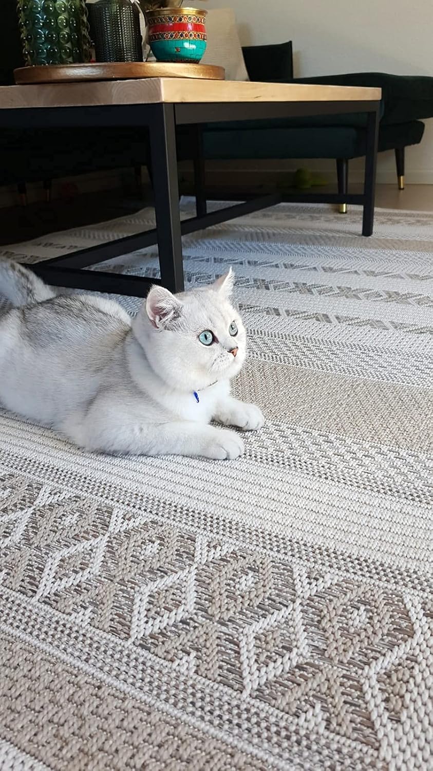 Thumbnail 4 de The Carpet Calgary 🌿 Alfombra Exteriores Beige 160 cm Redonda