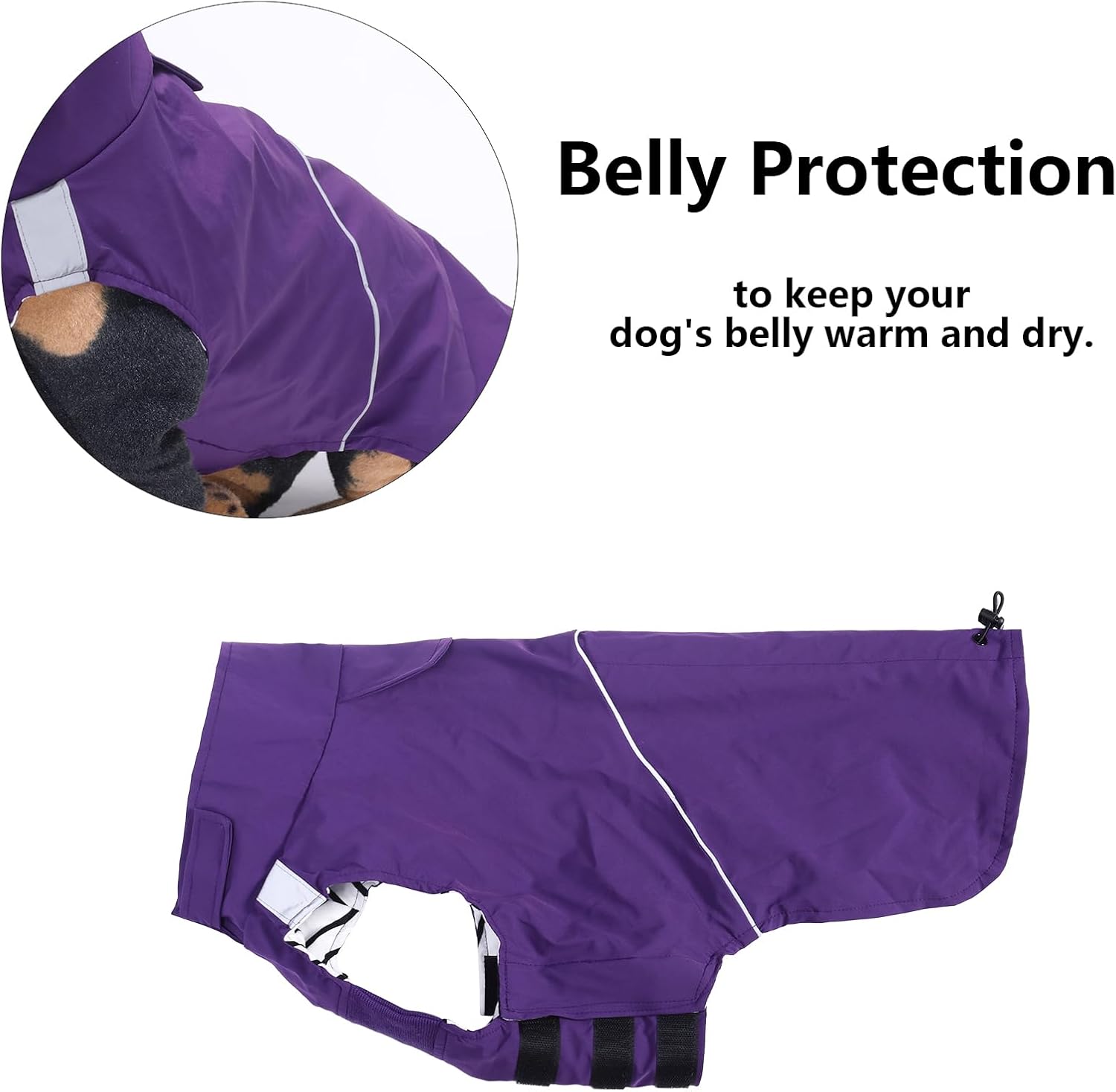 Thumbnail 4 de Dachshund Waterproof Raincoat XS