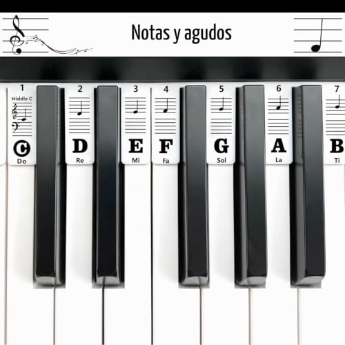 Detalle de laqula Guía de notas de piano de silicona reutilizable para 88/61 teclas