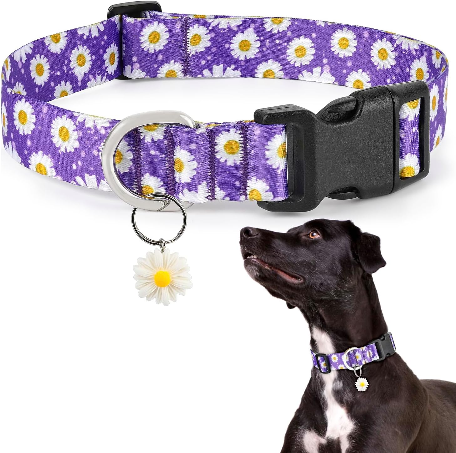 Detalle de Ayaseen Floral Dog Collar Small Purple Daisy