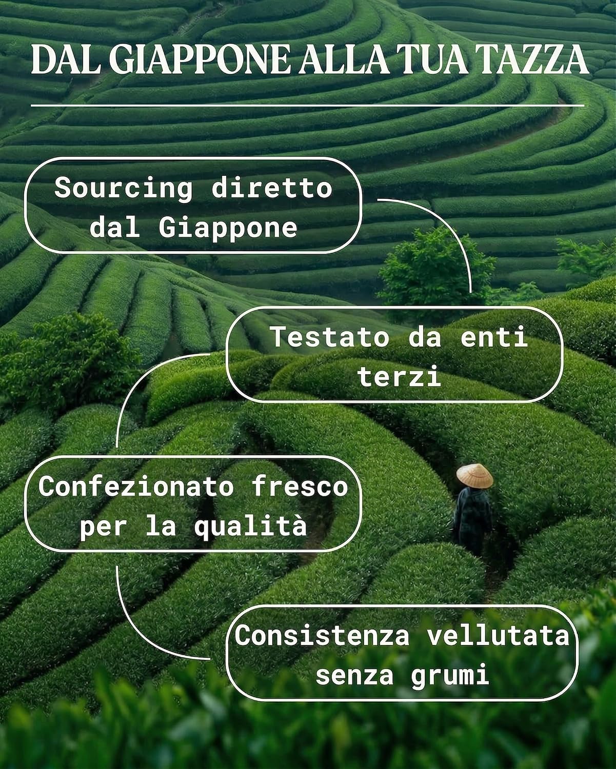 Detalle de NaturaleBio Tè Verde Matcha cerimoniale 30 g 🍵