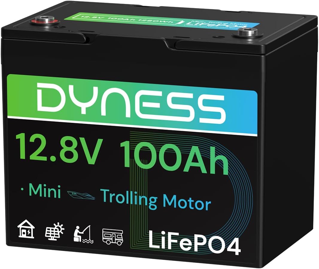 Thumbnail 6 de Dyness LiFePO4 12V 100Ah Batterie mit Bluetooth