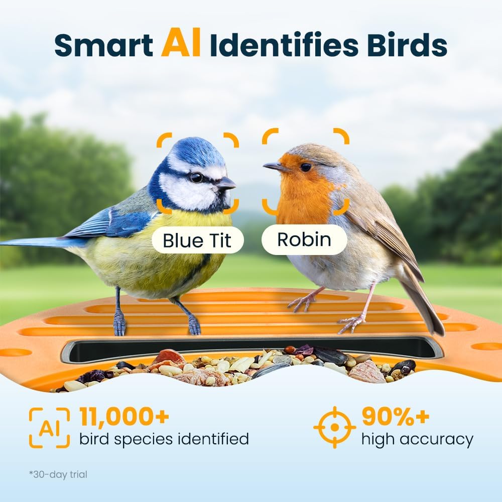 Thumbnail 2 de Smart Bird Feeder with Camera: 2.5K UHD, Solar Powered, IP66 Outdoor Ready
