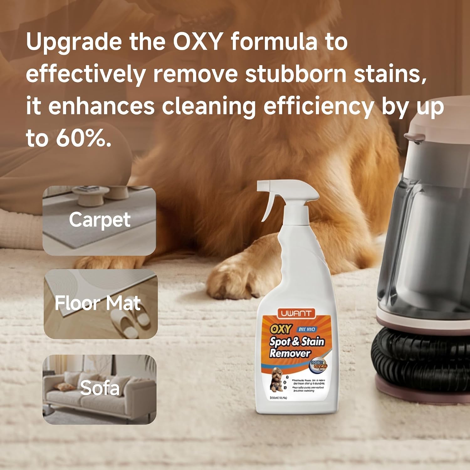Detalle 2 de Uwant Portable Carpet Cleaner 22 kPa