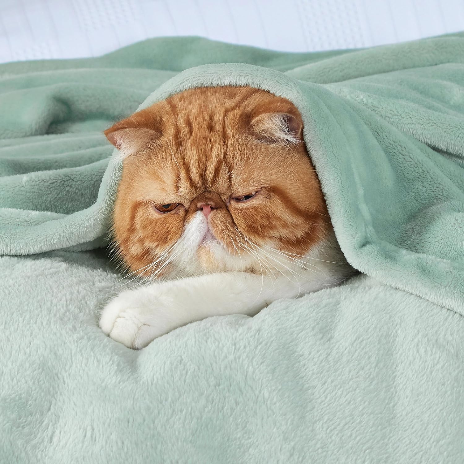 Thumbnail 4 de Bedsure fleece throw blanket for sofa, sage green, 130x150 cm