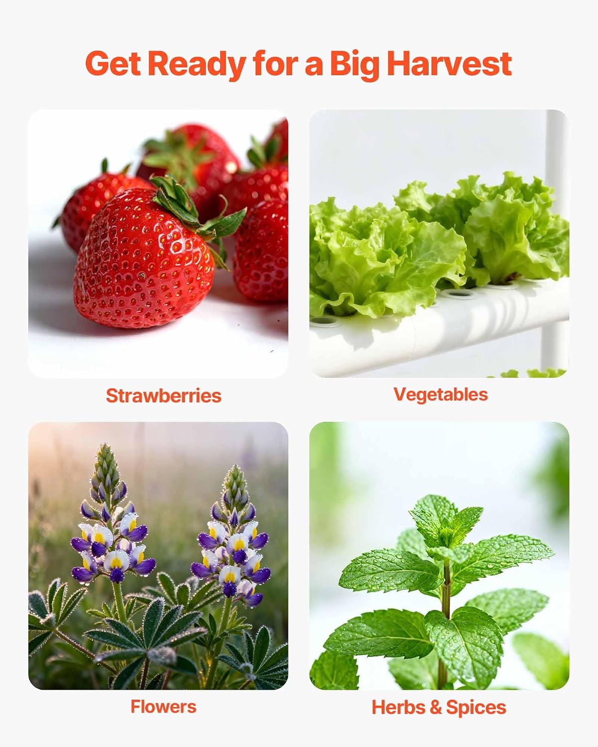 Detalle 2 de VEVOR Hydroponic Growing System 108 Sites