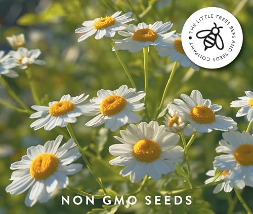 Detalle de Gourmet Edible Flower Seed Kit — 8 Varieties by The Little Trees Bees & Seeds Company
