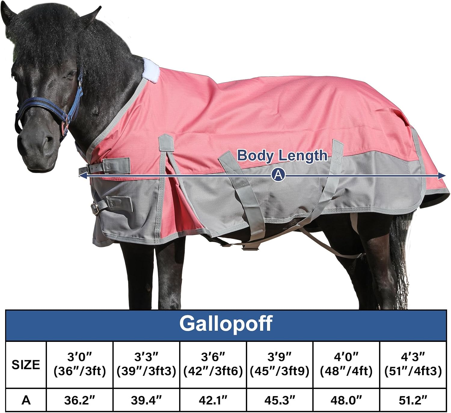 Thumbnail 5 de Mini Shetland Pony Turnout Rug 3'3