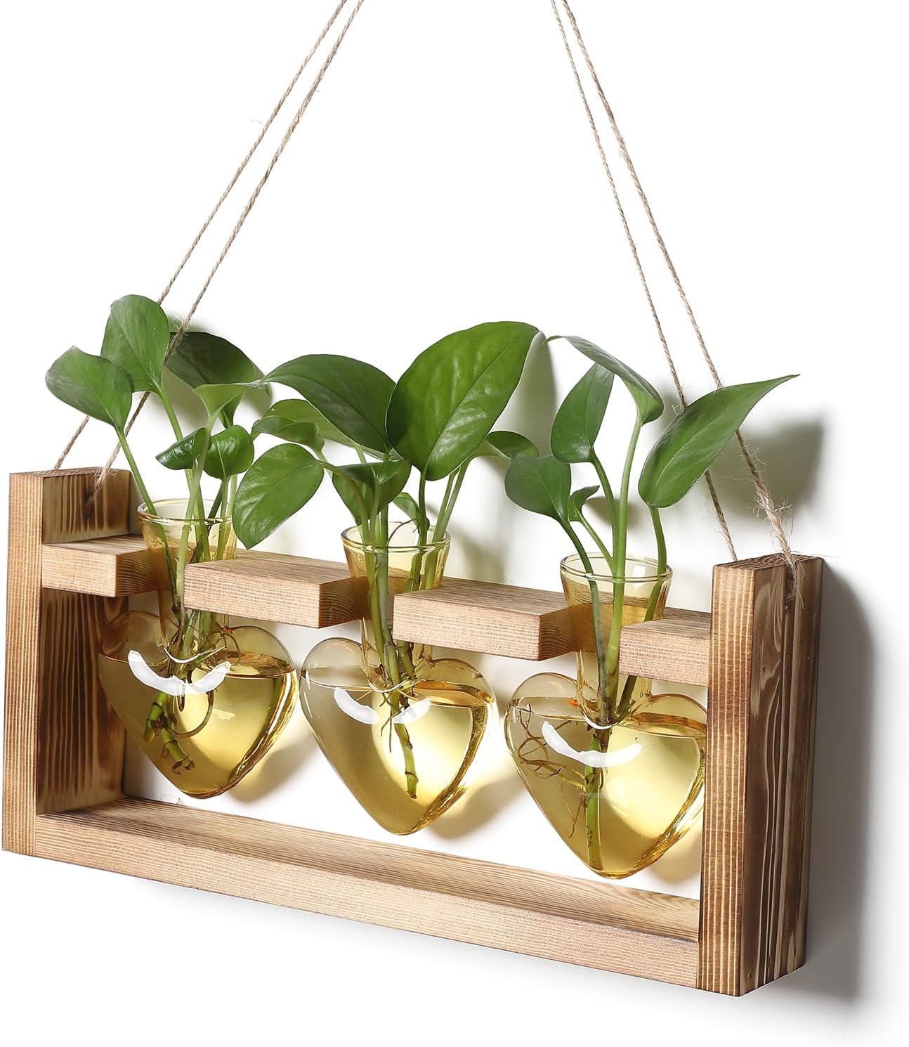 Thumbnail 6 de Plant Propagation Station, Heart-Shaped Glass