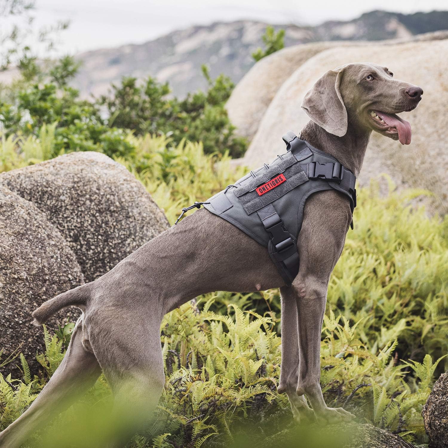 Thumbnail 5 de OneTigris Fire Watch : Harnais Tactique pour Chien – Gris, Taille M, poignée et 2 Anneaux en D