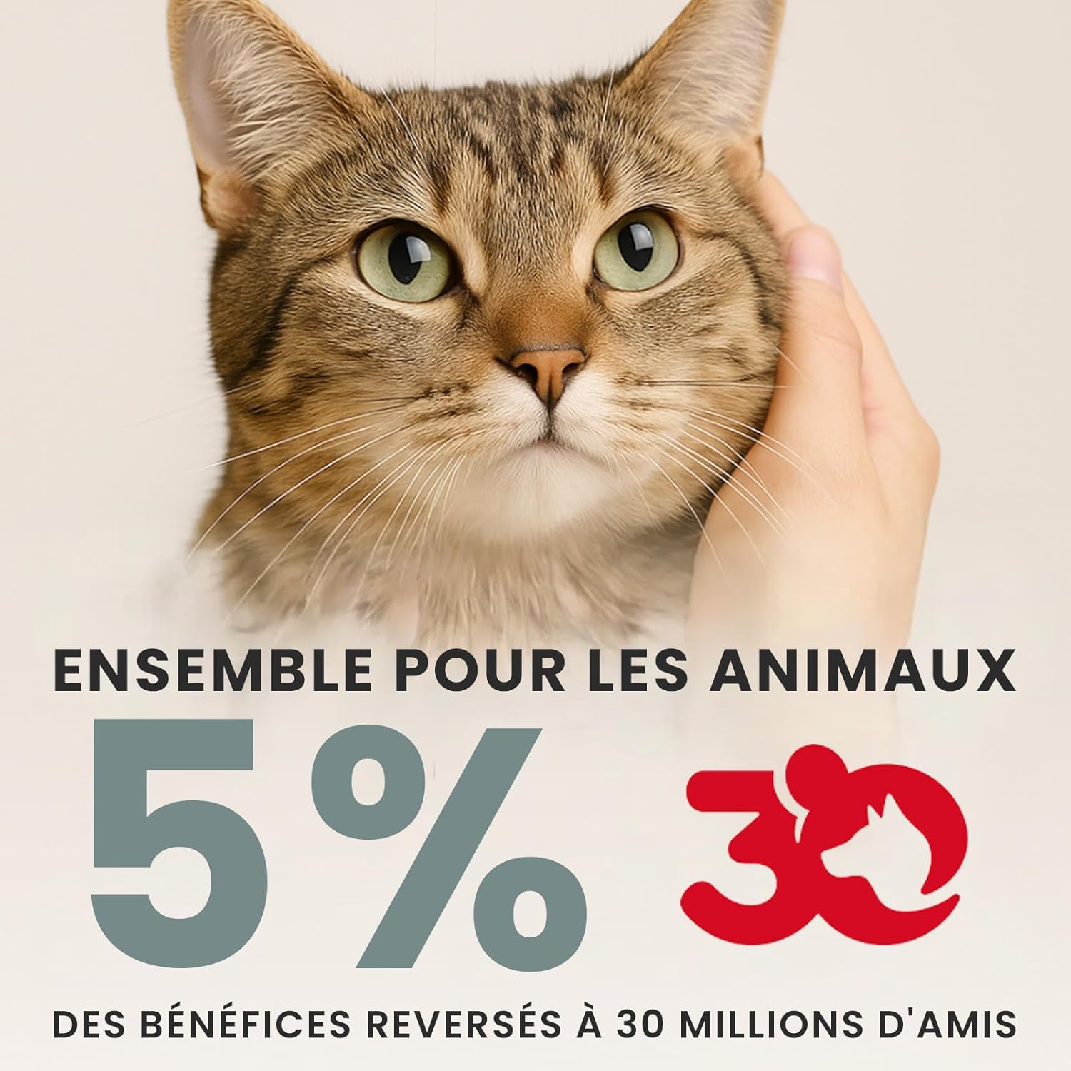 Thumbnail 6 de Pet Stufff Coffret 4 Jouets Interactifs pour Chat — Laser Automatique, Pointeur Manuel, Balle Interactive et Oiseau Volant avec Catnip