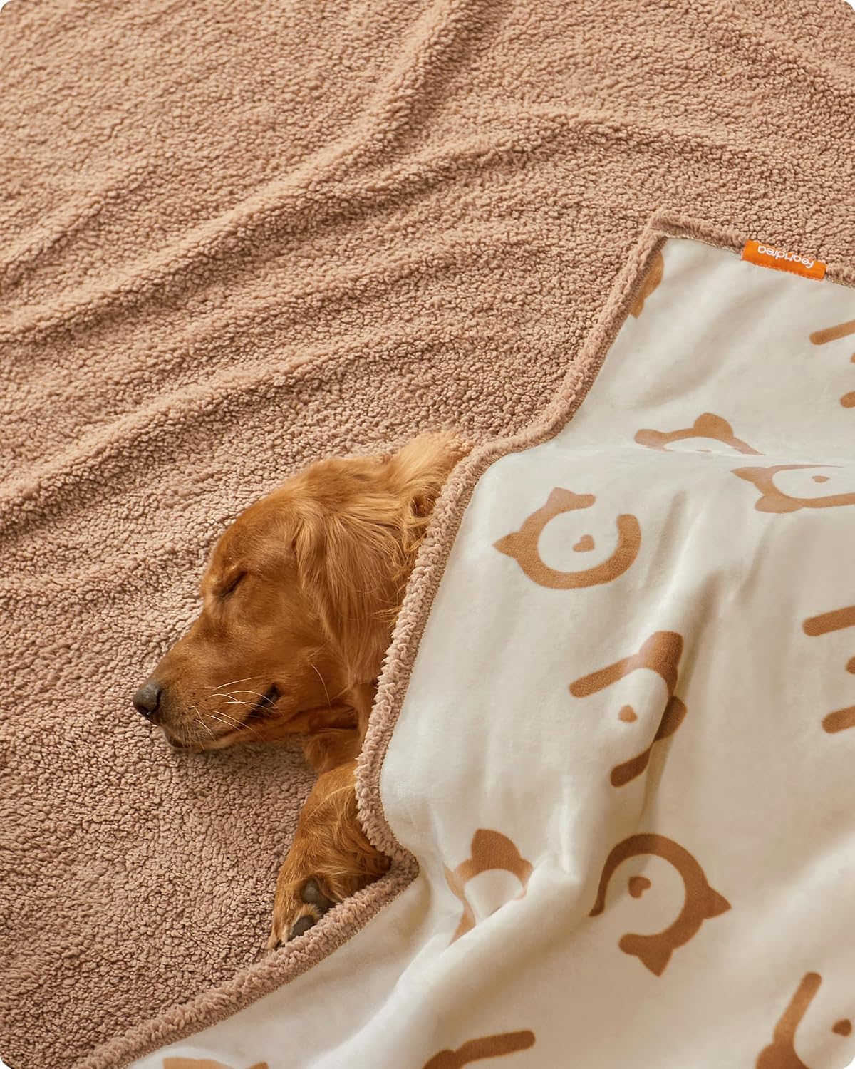 Detalle 2 de Feandrea Coperta Impermeabile per Cani XXL 203x152 cm