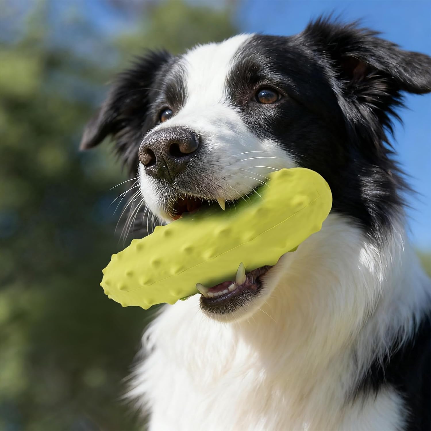 Thumbnail 6 de LIFLIX Lot de 2 Jouets à couineur pour Chien – Forme concombre, caoutchouc résistant pour mâcher, taille moyenne à grande