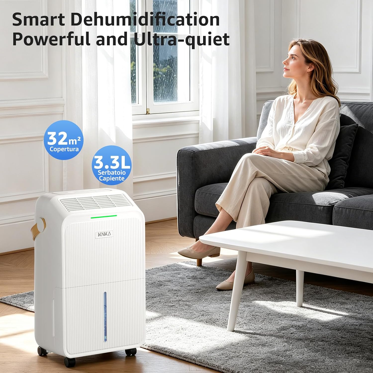 Detalle de Dehumidifier 16L/day for Home