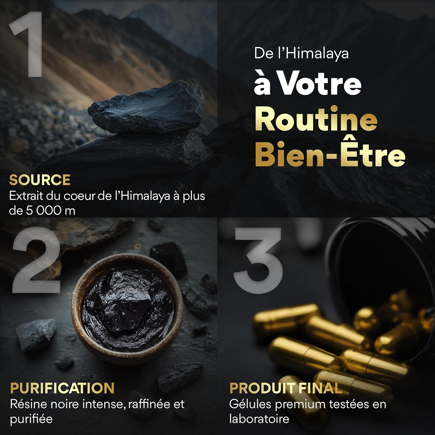 Thumbnail 4 de Shilajit Pur 2500 mg gĂ©lules đ