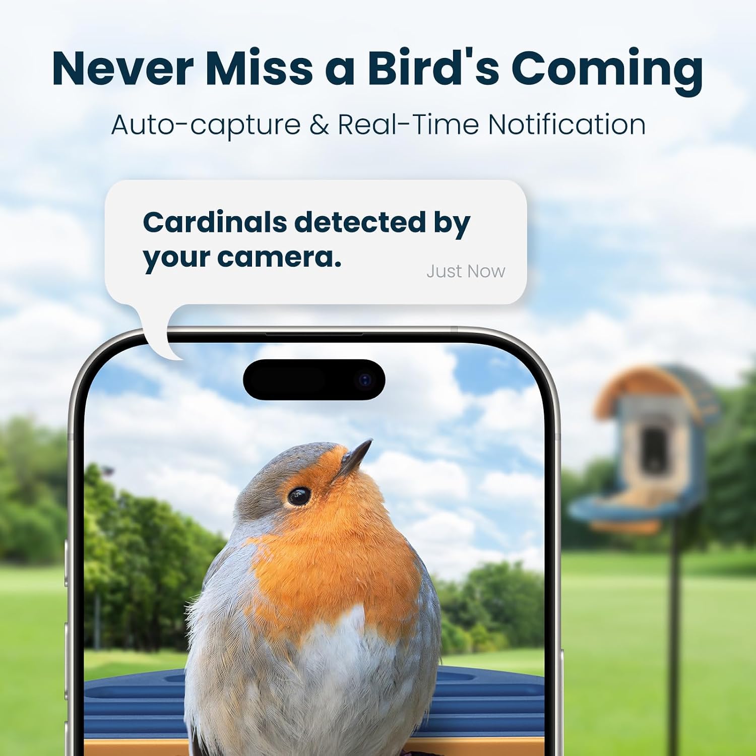 Detalle de Smart Bird Feeder with Camera: 2.5K UHD, AI ID, Solar Powered, IP66