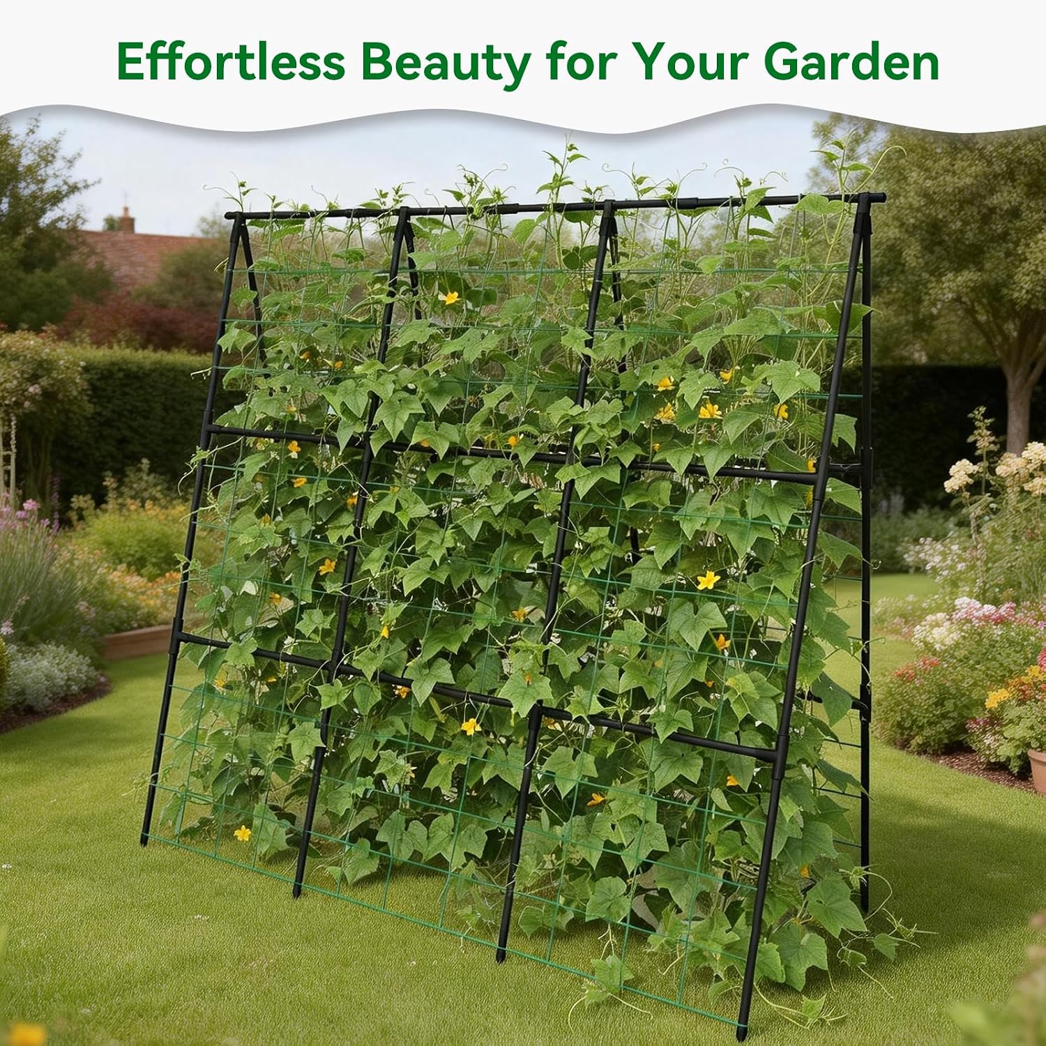 Thumbnail 6 de Trellume TL-PTJ-030-TR A-Frame Garden Trellis, 49.4-Inch Steel, Black