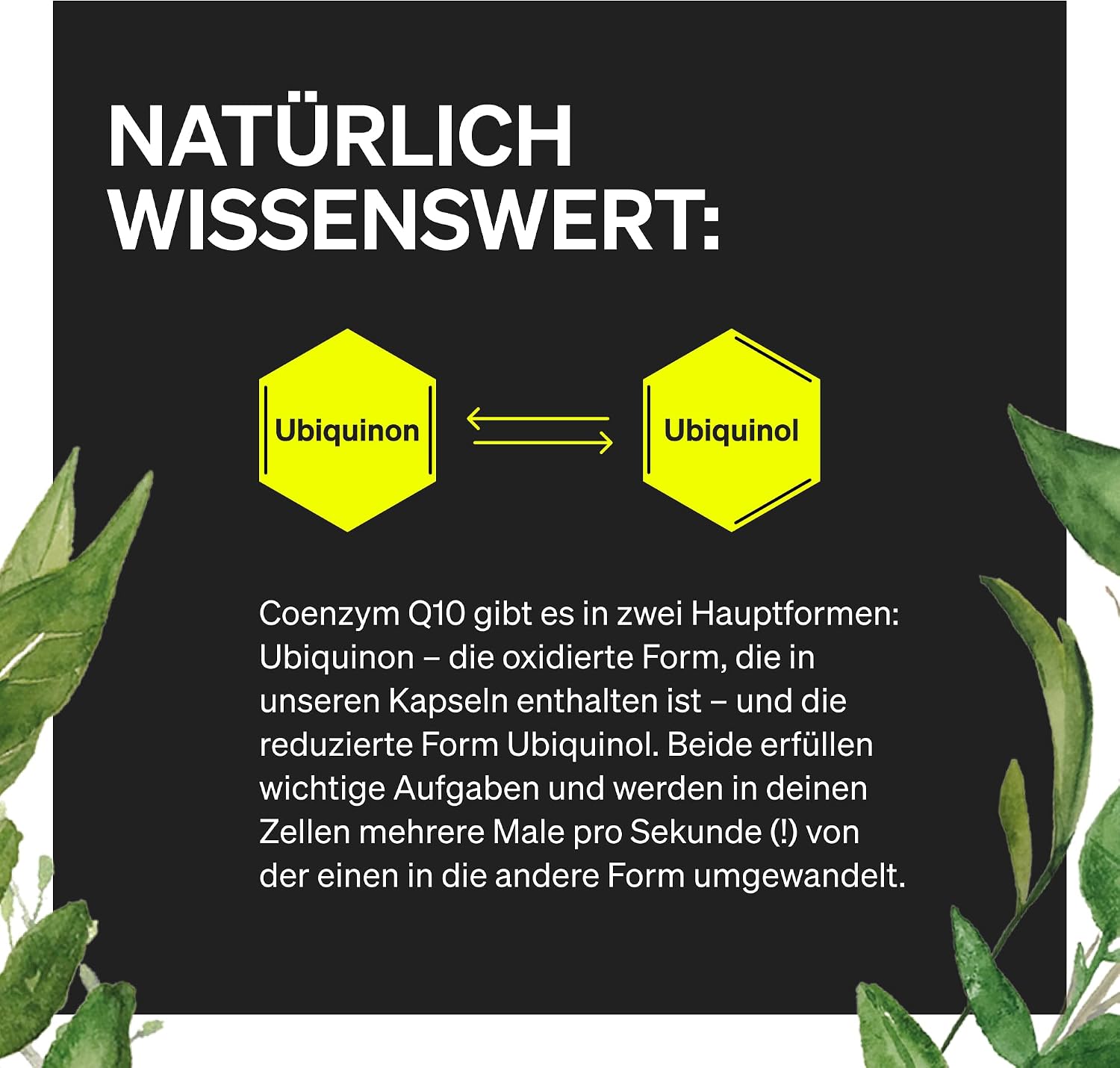 Thumbnail 3 de natural elements Coenzym Q10 200 mg Kapseln