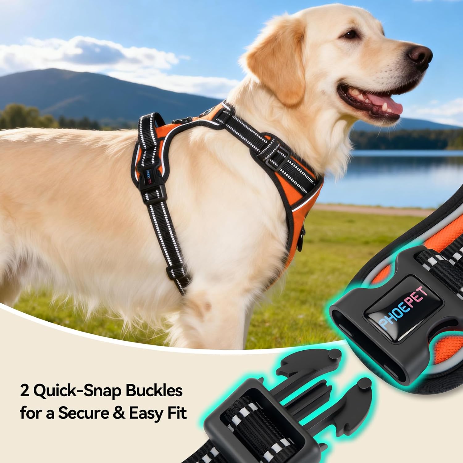 Thumbnail 6 de PHOEPET Dog Harness, XS