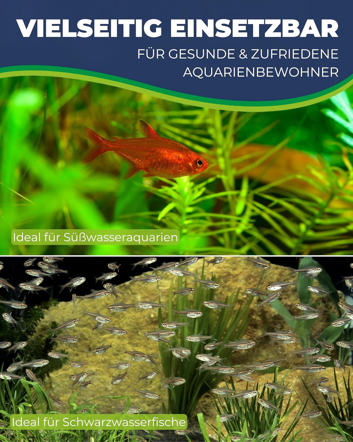 Thumbnail 4 de Hobby 51158 Tropic Fit (500 ml) – natürlicher Wasseraufbereiter für Schwarzwasser-Aquarien