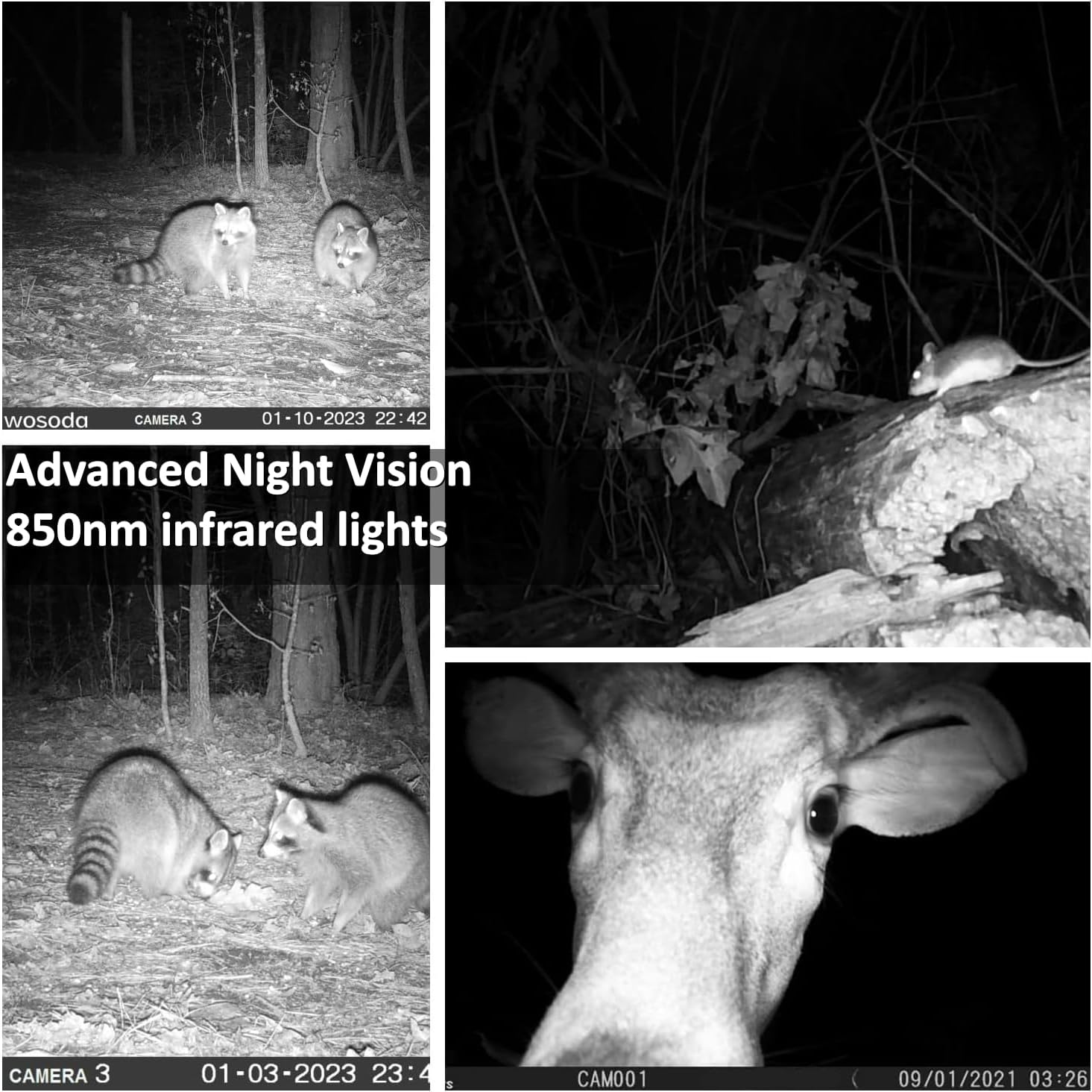 Detalle de WOSODA 2-Pack Trail Cameras (Night Vision, Waterproof, 1080P HD) with 32GB SD Cards
