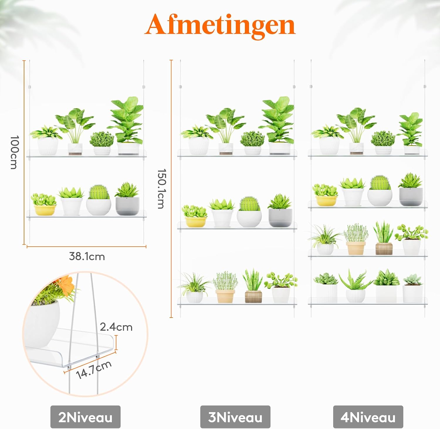 Detalle de Lifewit 24127 wandplank voor planten, transparant en verstelbaar met 3 niveaus