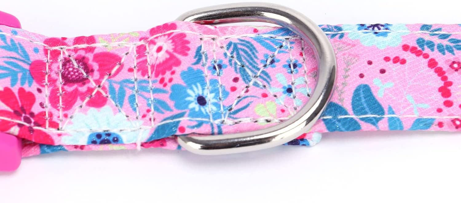 Thumbnail 4 de haoyueer Soft Comfy Bowtie Dog Collar (Detachable & Adjustable) – Orange – Size S