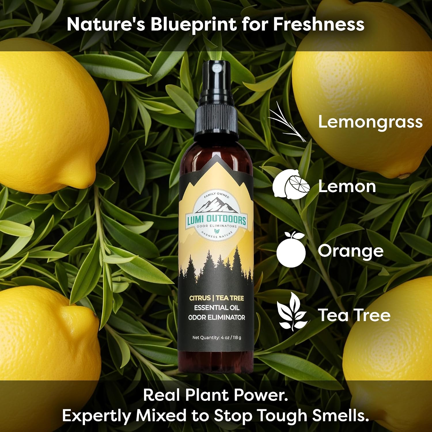 Thumbnail 5 de Lumi Outdoors Natural Shoe Deodorizer Spray 3-Pack Bundle: Lemon Eucalyptus, Citrus Tea Tree & Lavender Tea Tree