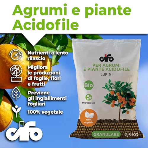 Detalle 2 de CIFO Concime Agrumi a base di lupini macinati 2,5 Kg: nutrimento sostenibile per limoni, arance e piante acidofile