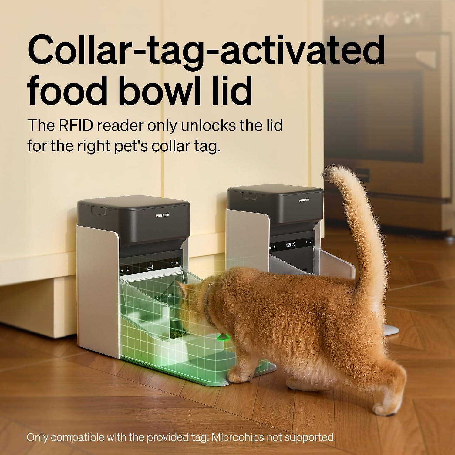 Detalle 2 de PETLIBRO RFID Automatic Cat Feeder for Multi-Cat Homes