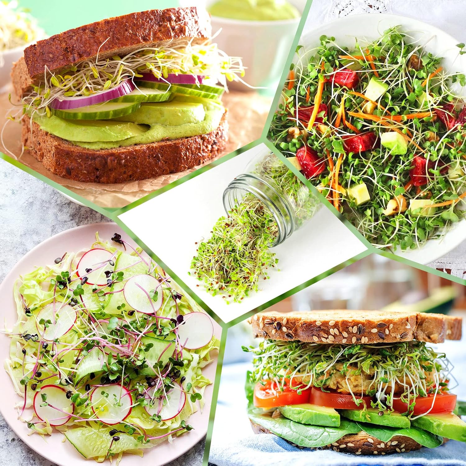 Thumbnail 6 de Kitmiido Sprouting Kit for Seeds, 2 Wide-Mouth Jars, Mesh Lids & Sleeves