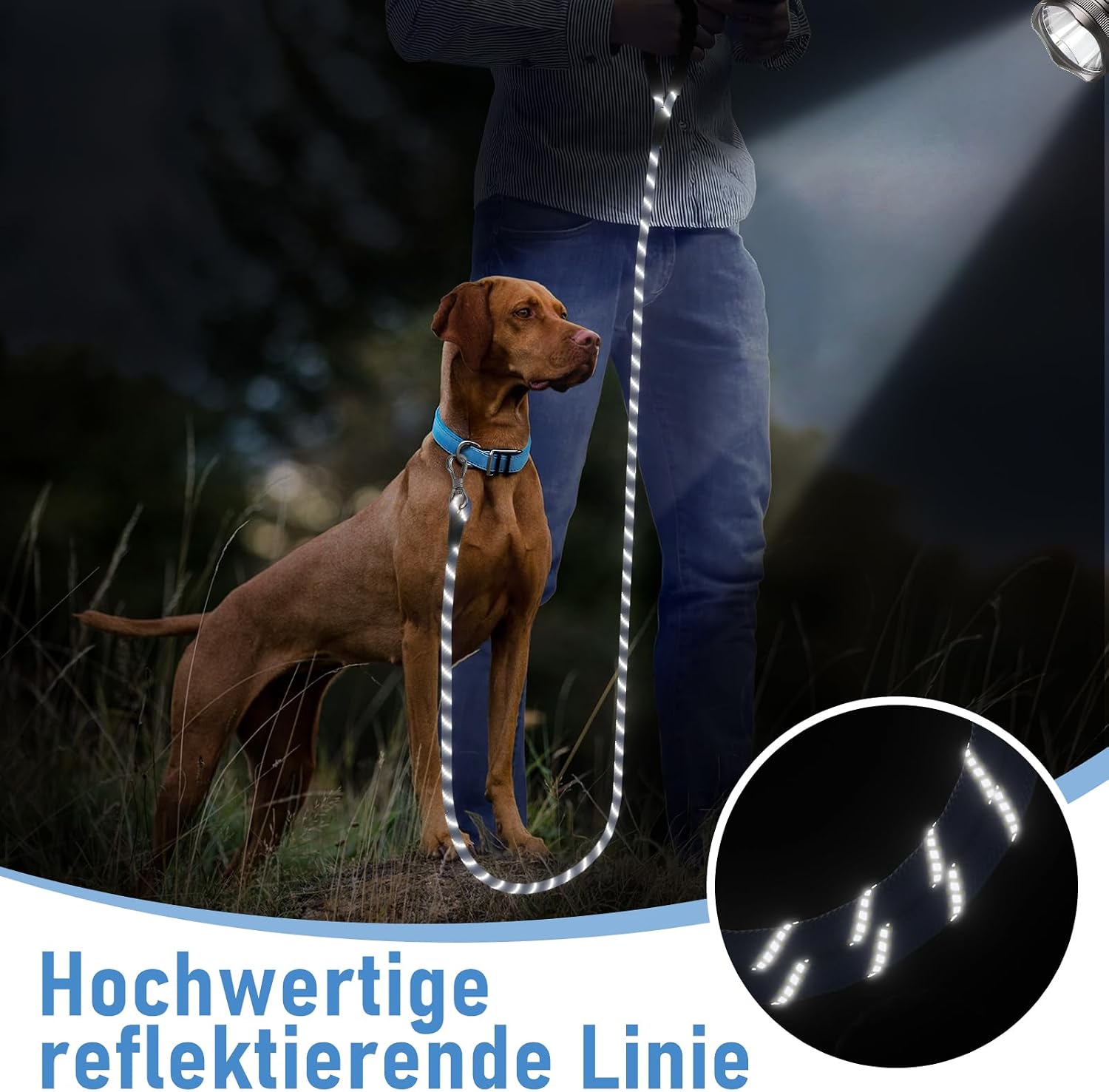 Thumbnail 5 de X XBEN Schleppleine 5 m 🐕