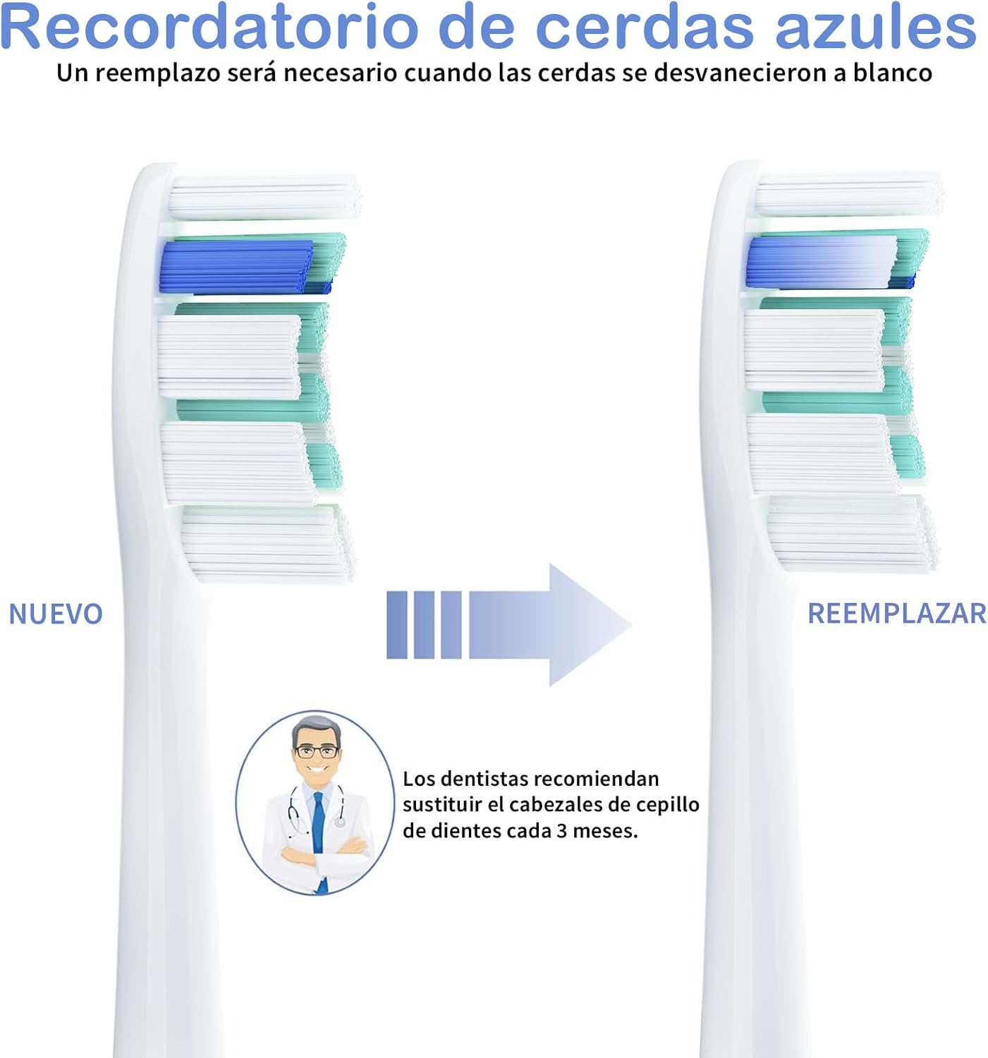 Thumbnail 5 de REDTRON Cabezales de Recambio Philips ProResults, Set de 8 🦷