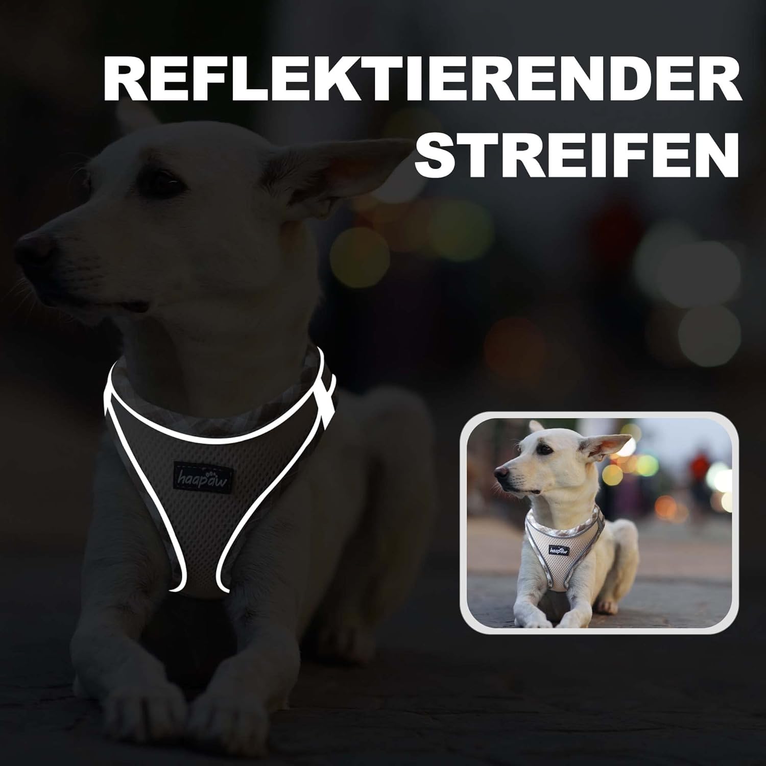 Thumbnail 4 de haapaw Hundegeschirr & Leine-Set (Step-in, kein Ziehen) mit reflektierenden 360°-Streifen
