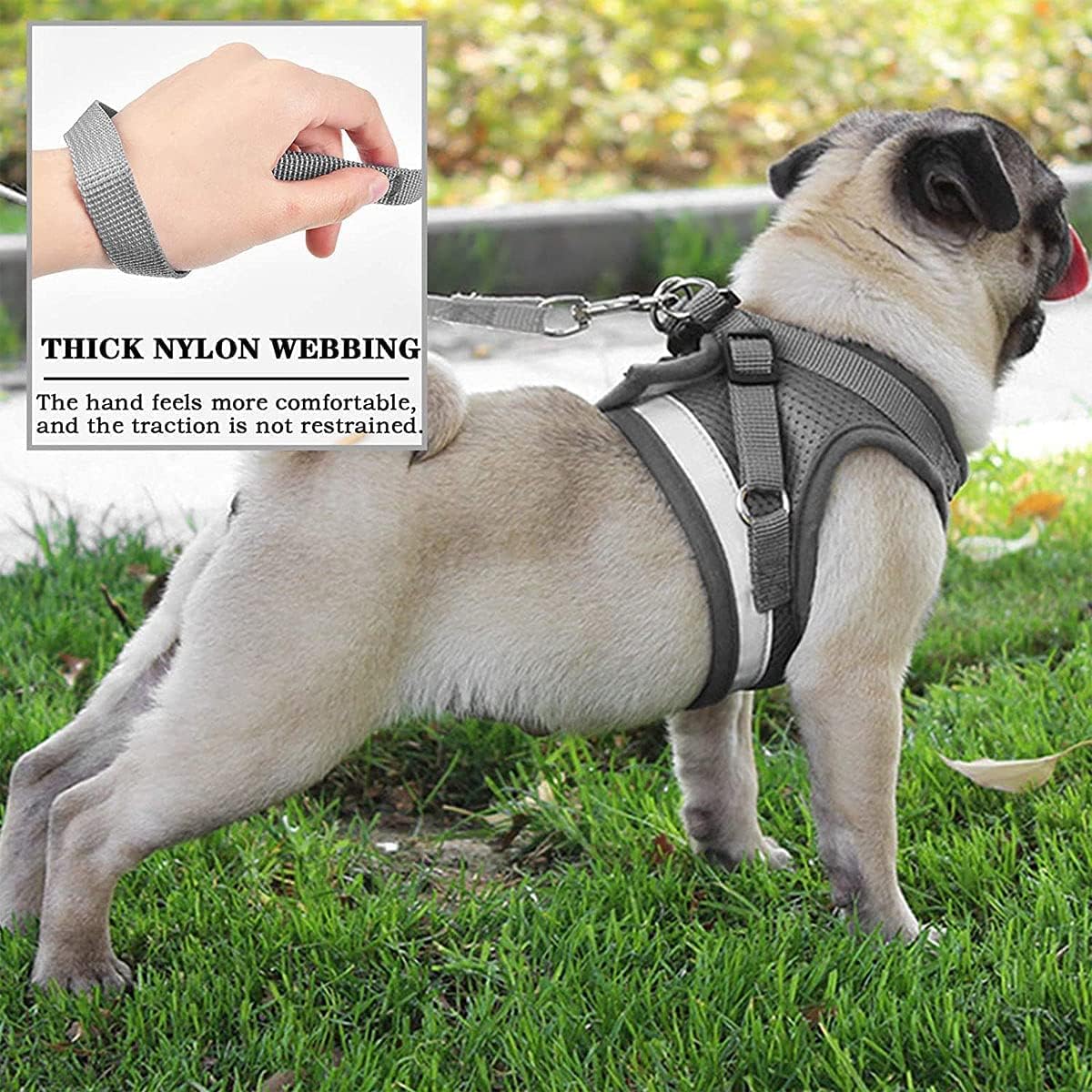 Thumbnail 3 de DARENYI Adjustable Dog Harness 29–32.7 cm