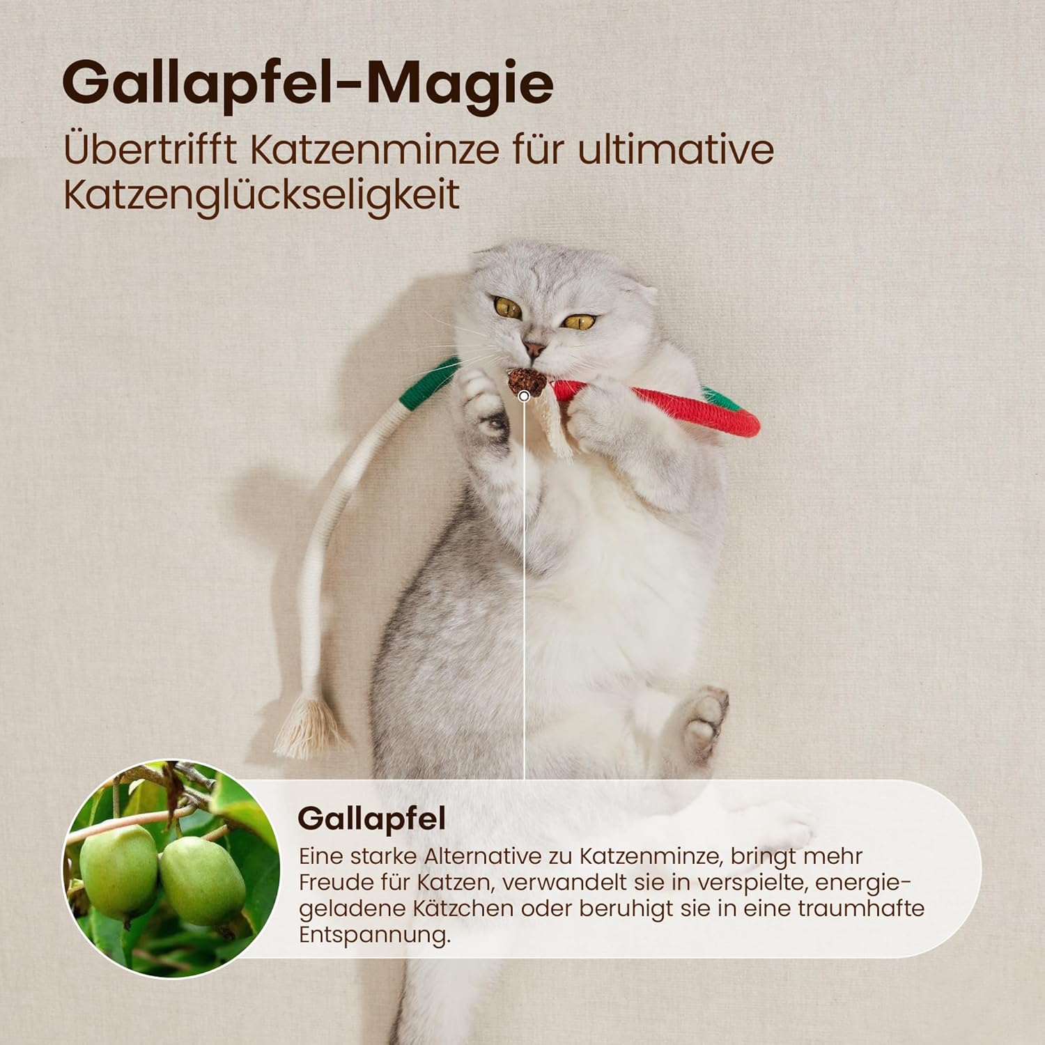 Detalle 2 de Potaroma Kauspielzeug 3er Set 🐱