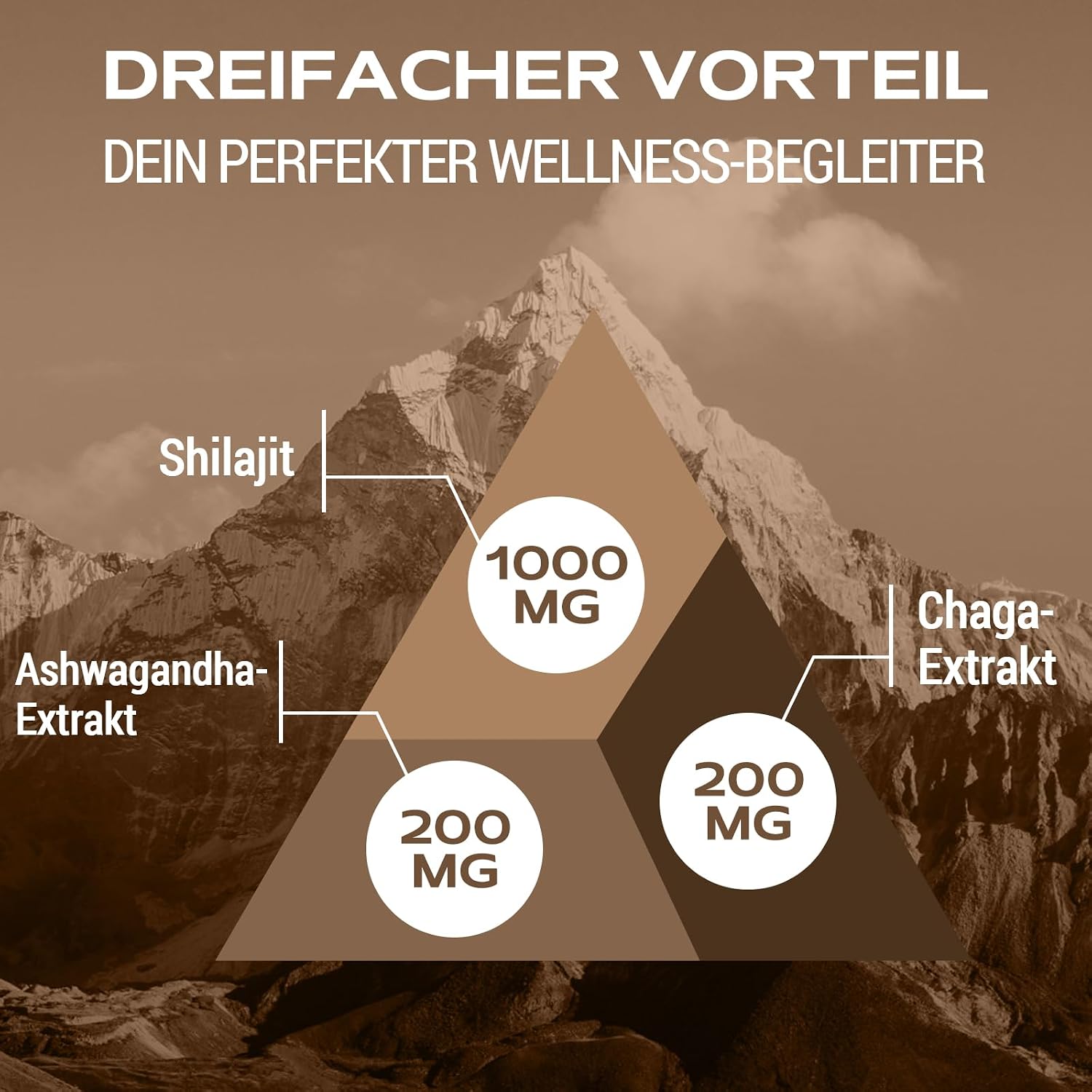 Detalle 2 de Gomitas Shilajit 1400mg con Chaga y Ashwagandha 🍬