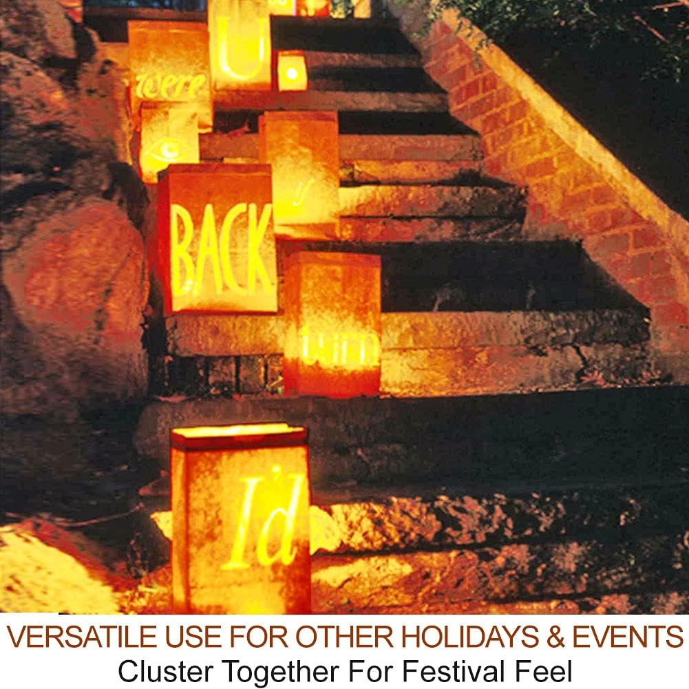 Detalle 1 de HOME MOST 12762 2-Pack Pumpkin Lights with Remote, Timer and Two Modes