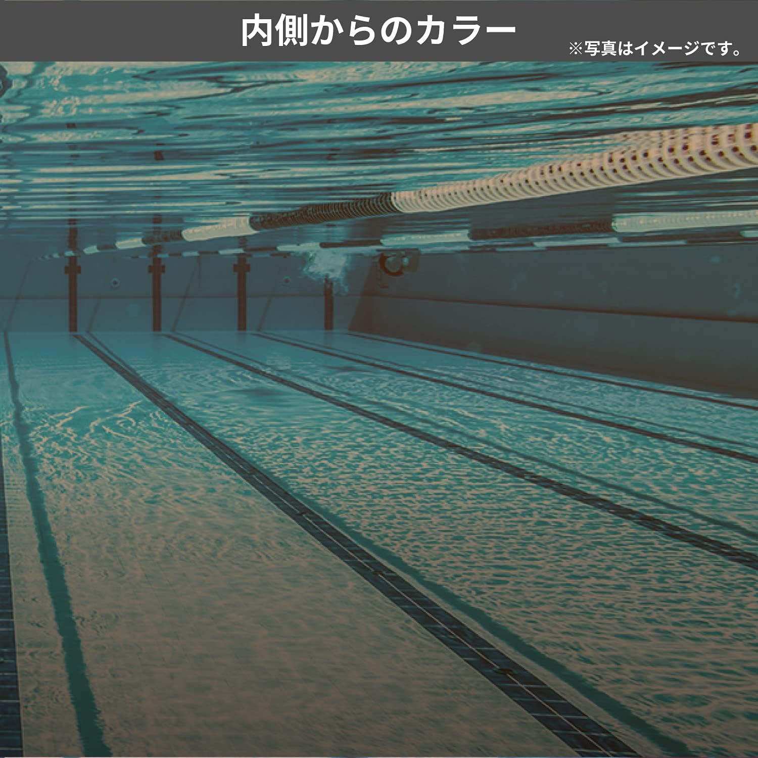 Detalle de SWANS SR-81PAF アセンダー スイミングゴーグル 広視界・ミラー・PAF曇り止め