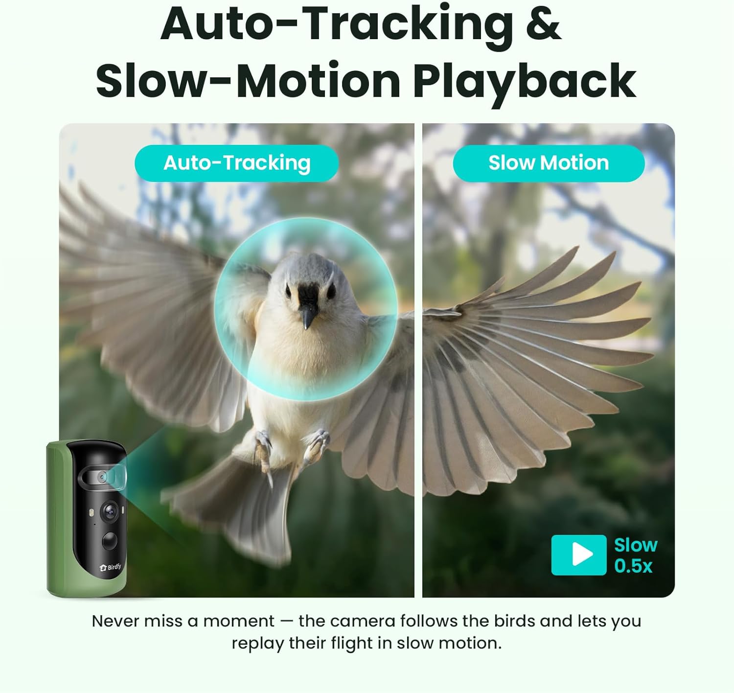 Thumbnail 2 de Birdfy Feeder 2 upgraded dual-lens bird feeder camera with auto-trace and smart capture