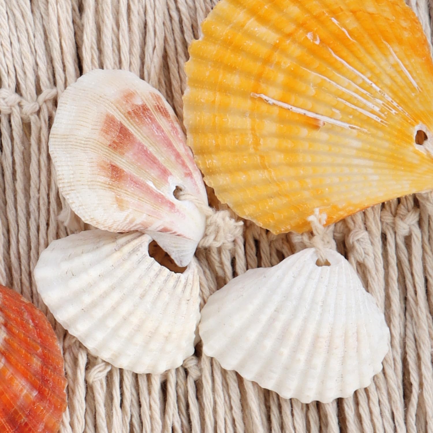 Thumbnail 6 de Ensemble de décoration maritime COM-FOUR® : filet de pêche avec coquillages et maille photo