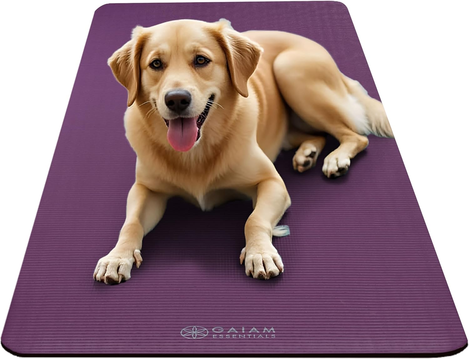 Thumbnail 6 de Gaiam Essentials 10mm Yoga & Pilates Mat 📄