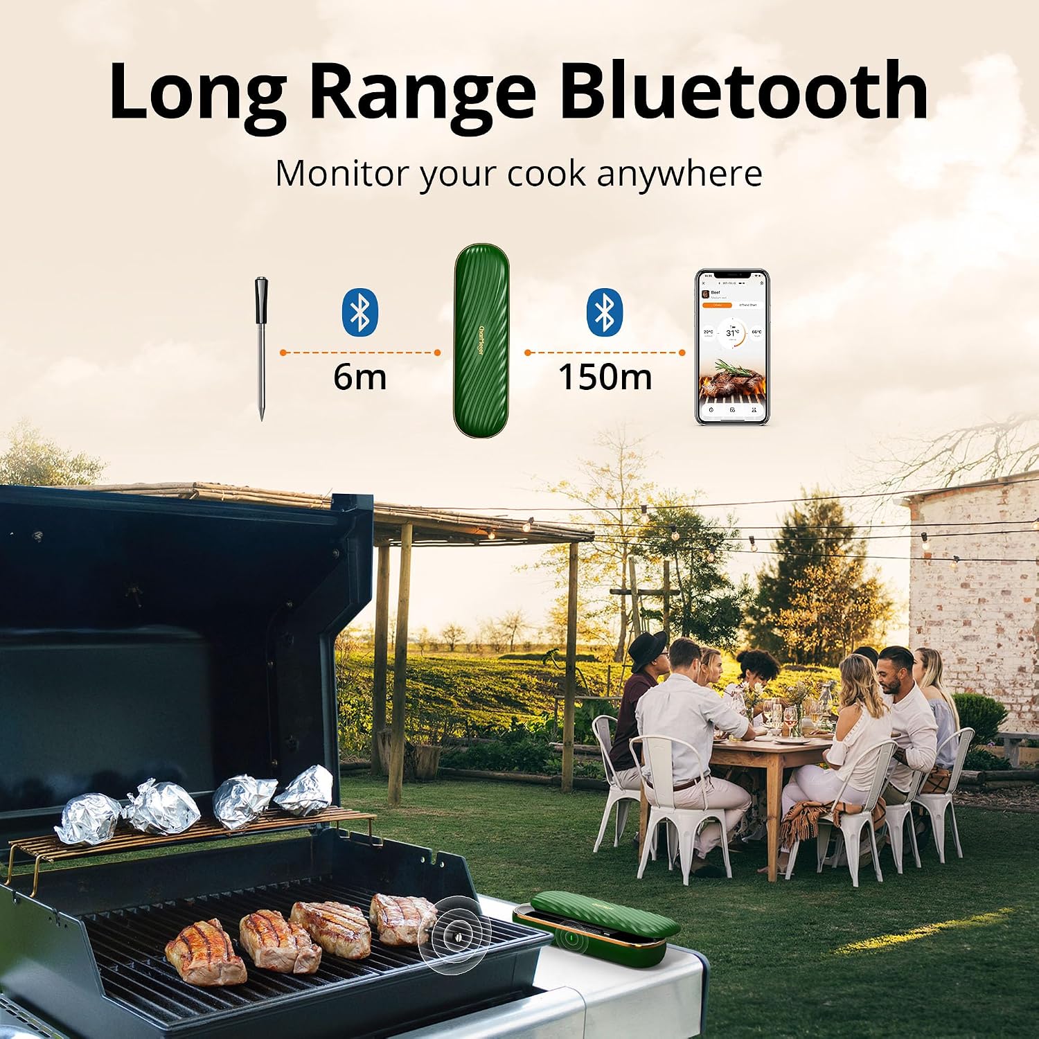 Thumbnail 1 de CharMeter INT-11X-B Wireless Meat Thermometer Probe: Ultra-Long Range, Dual Sensors and Rechargeable Case