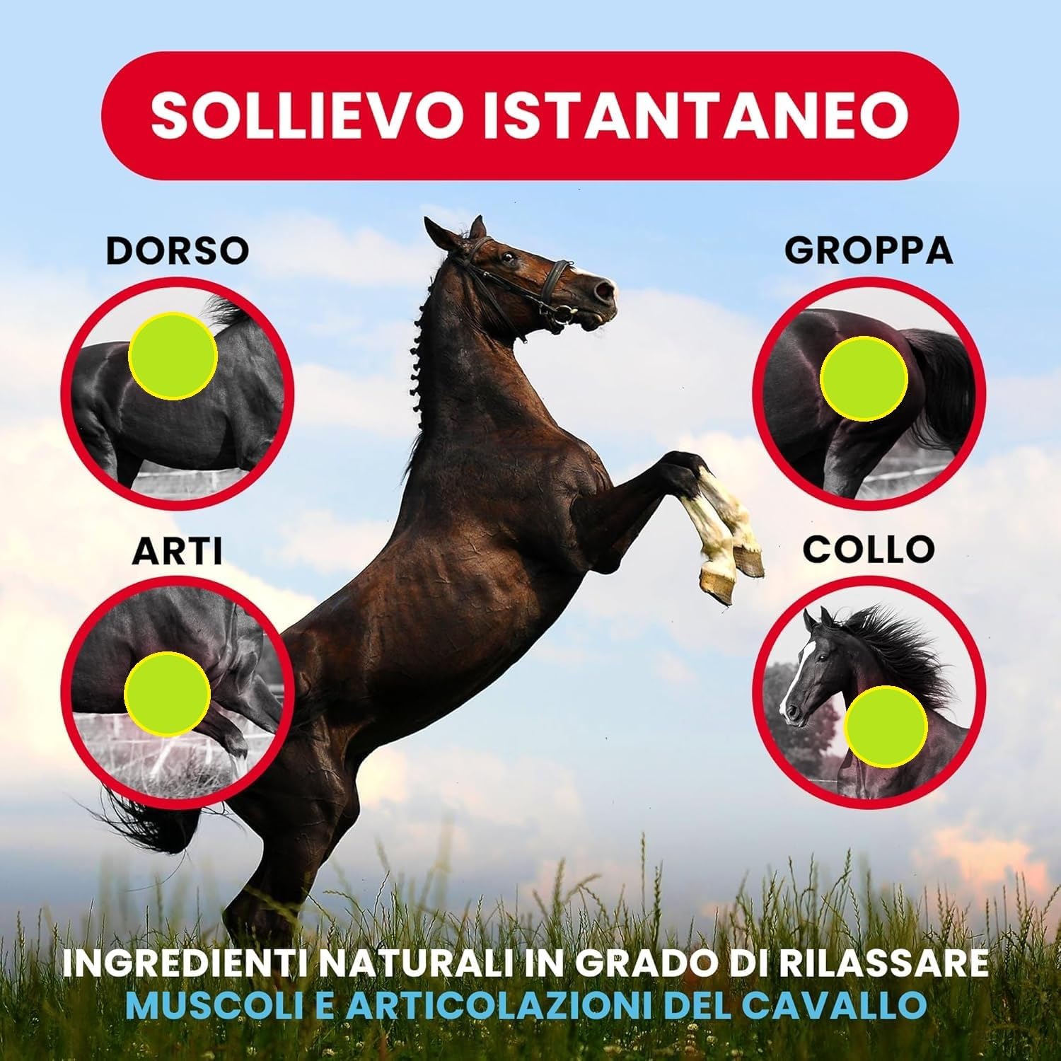 Detalle de ARNICA 100'S - Arnica per Cavalli Gel Extraforte Raffreddante Pearson, 500 ml