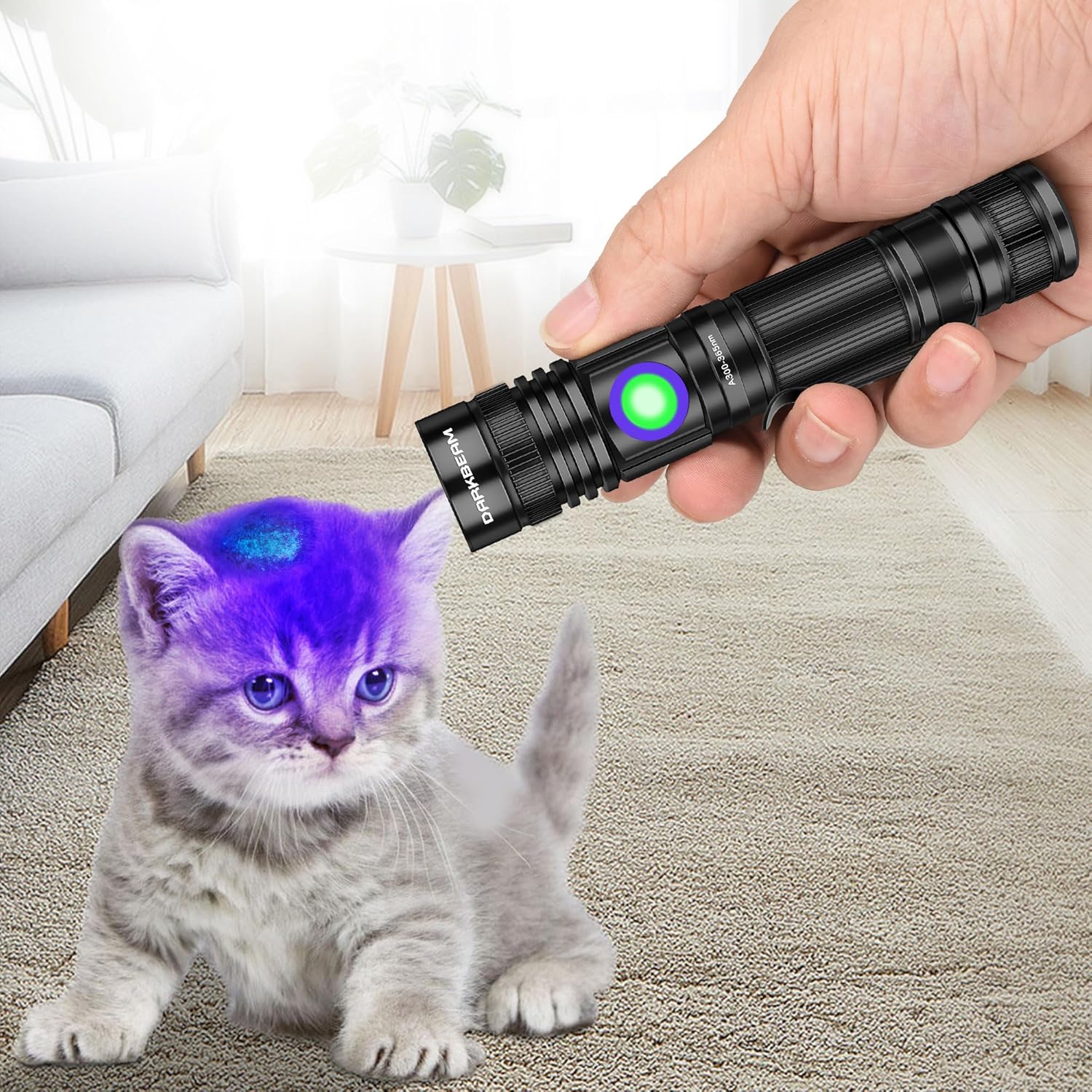 Thumbnail 2 de DARKBEAM Torcia UV 365nm Ricaricabile:Lanterna nera portatile per rilevare macchie e urina degli animali