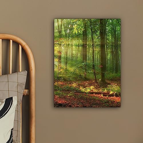 Detalle 2 de MuchoWow Impression toile 30x40 cm Forêt 🎨